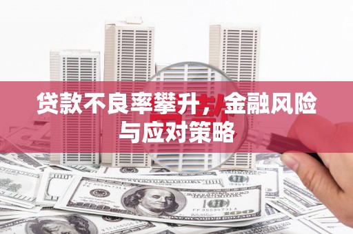 莱城贷款不良率攀升，金融风险与应对策略