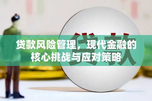 莱城贷款风险管理，现代金融的核心挑战与应对策略