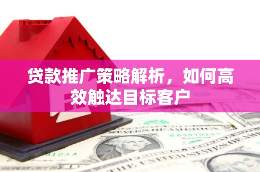 莱城贷款推广策略解析，如何高效触达目标客户