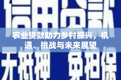 莱城农业贷款助力乡村振兴，机遇、挑战与未来展望