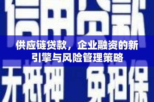 莱城供应链贷款，企业融资的新引擎与风险管理策略