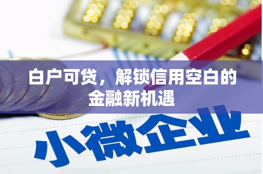 莱城白户可贷，解锁信用空白的金融新机遇