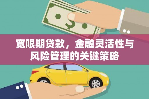莱城宽限期贷款，金融灵活性与风险管理的关键策略