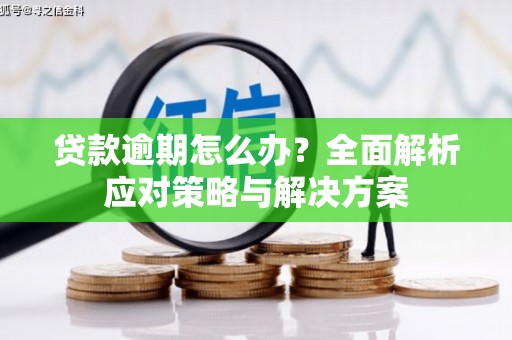 莱城贷款逾期怎么办？全面解析应对策略与解决方案