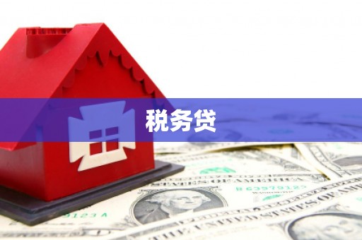 莱城税务贷