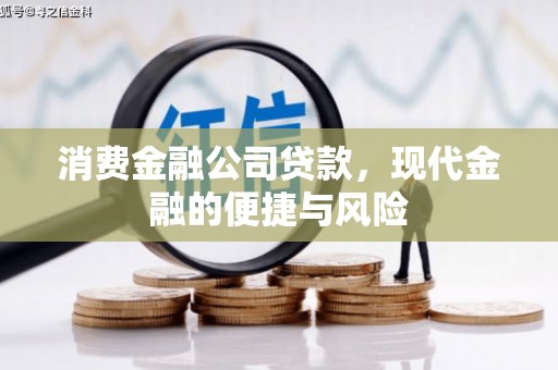 莱城消费金融公司贷款，现代金融的便捷与风险
