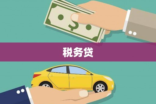 莱城税务贷