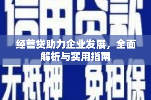 莱城经营贷助力企业发展，全面解析与实用指南