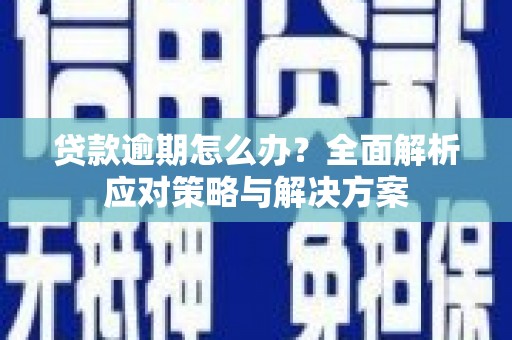 莱城贷款逾期怎么办？全面解析应对策略与解决方案