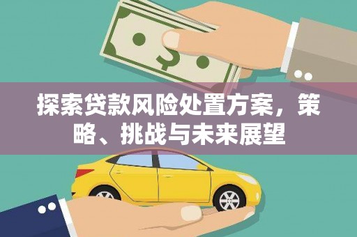 莱城探索贷款风险处置方案，策略、挑战与未来展望