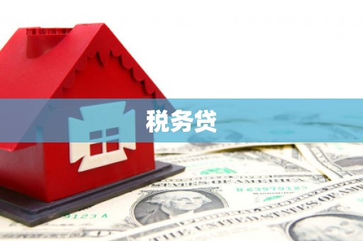 莱城税务贷