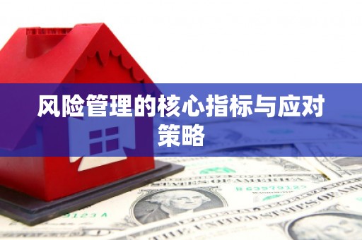 莱城风险管理的核心指标与应对策略