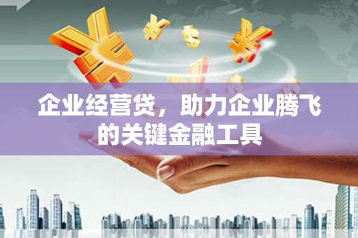 莱城企业经营贷，助力企业腾飞的关键金融工具