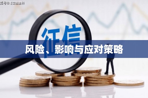 莱城风险、影响与应对策略