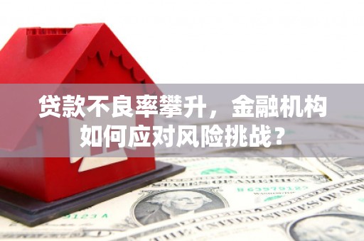 莱城贷款不良率攀升，金融机构如何应对风险挑战？