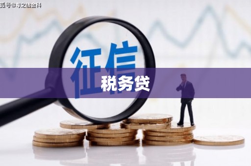 莱城税务贷