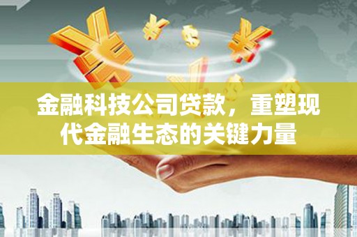 莱城金融科技公司贷款，重塑现代金融生态的关键力量