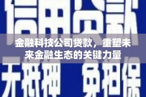 莱城金融科技公司贷款，重塑未来金融生态的关键力量