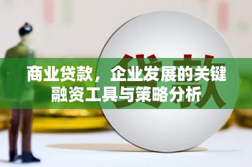 莱城商业贷款，企业发展的关键融资工具与策略分析