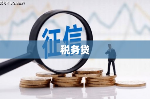 莱城税务贷