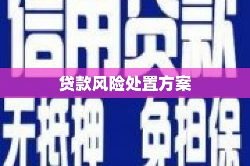 莱城贷款风险处置方案