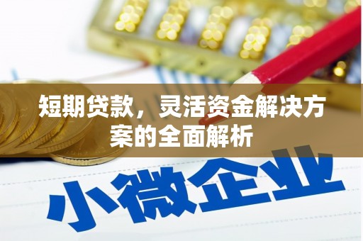 莱城短期贷款，灵活资金解决方案的全面解析