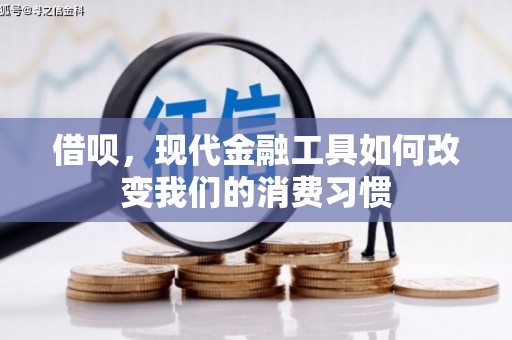 莱城借呗，现代金融工具如何改变我们的消费习惯