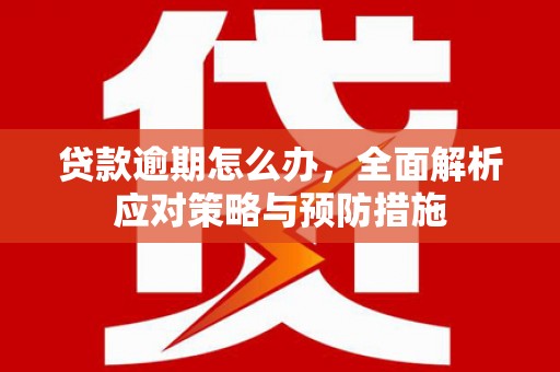 莱城贷款逾期怎么办，全面解析应对策略与预防措施