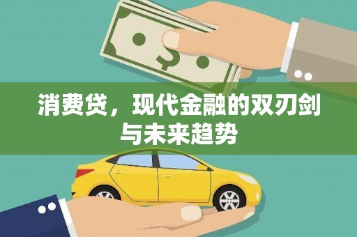 莱城消费贷，现代金融的双刃剑与未来趋势