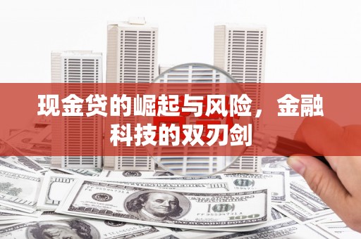 莱城现金贷的崛起与风险，金融科技的双刃剑