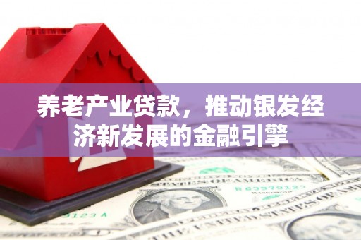 莱城养老产业贷款，推动银发经济新发展的金融引擎