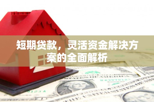 莱城短期贷款，灵活资金解决方案的全面解析