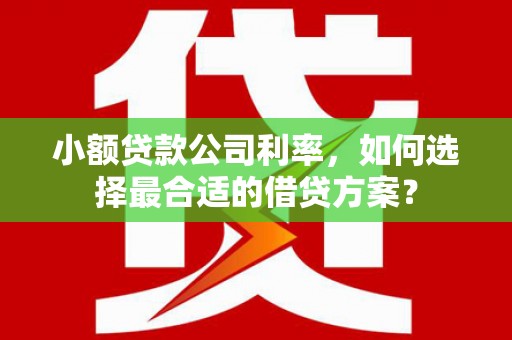 莱城小额贷款公司利率，如何选择最合适的借贷方案？