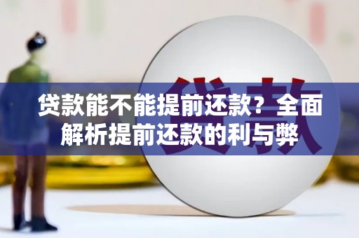 莱城贷款能不能提前还款？全面解析提前还款的利与弊