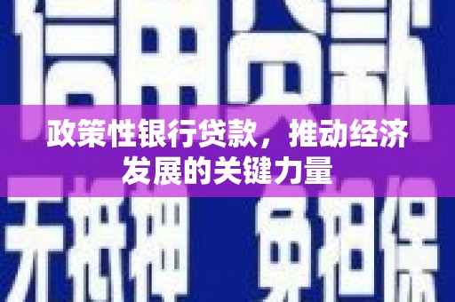 莱城政策性银行贷款，推动经济发展的关键力量