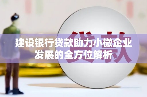 莱城建设银行贷款助力小微企业发展的全方位解析