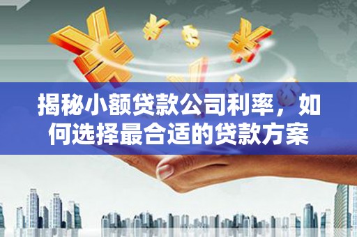 莱城揭秘小额贷款公司利率，如何选择最合适的贷款方案