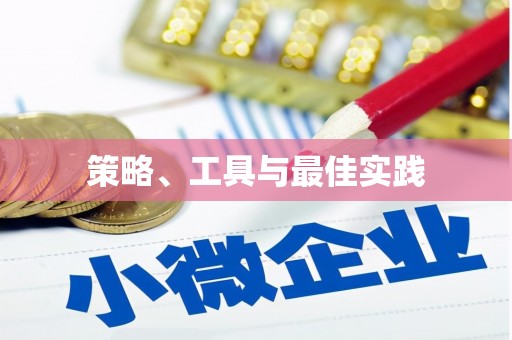 莱城策略、工具与最佳实践