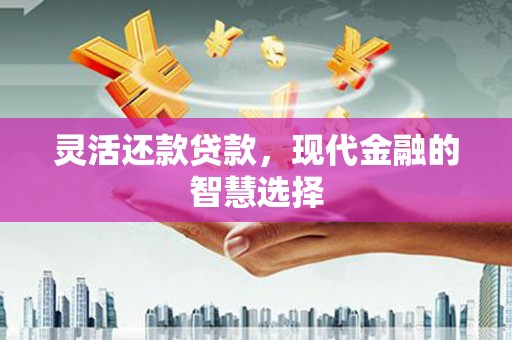 莱城灵活还款贷款，现代金融的智慧选择