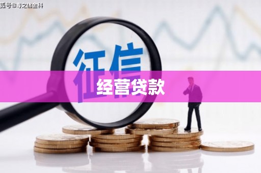 莱城经营贷款