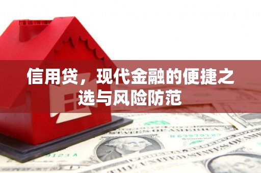 莱城信用贷，现代金融的便捷之选与风险防范