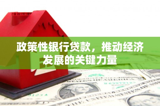 莱城政策性银行贷款，推动经济发展的关键力量