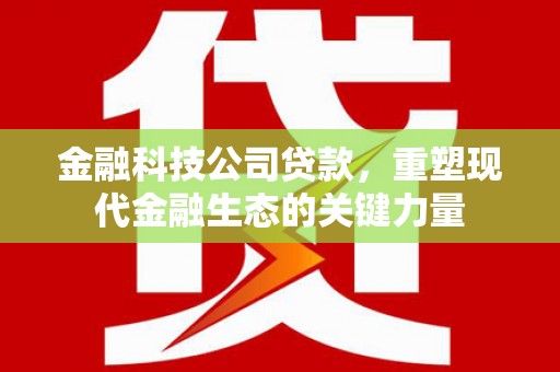 莱城金融科技公司贷款，重塑现代金融生态的关键力量