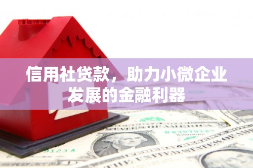 莱城信用社贷款，助力小微企业发展的金融利器