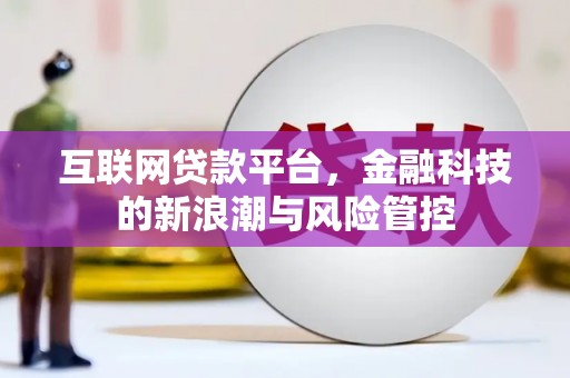 莱城互联网贷款平台，金融科技的新浪潮与风险管控