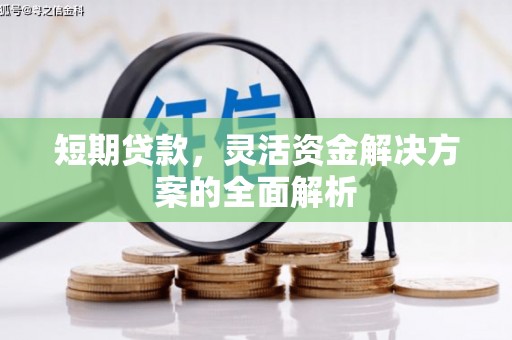 莱城短期贷款，灵活资金解决方案的全面解析