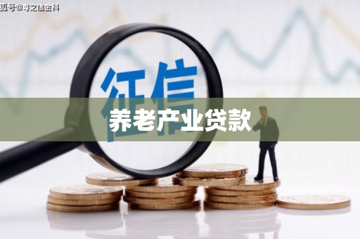 莱城养老产业贷款
