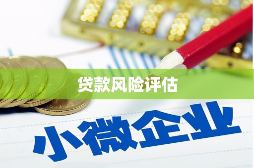 莱城贷款风险评估