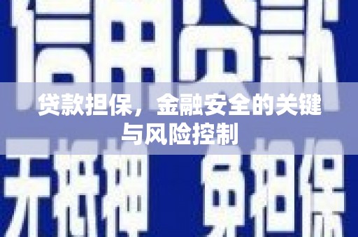 莱城贷款担保，金融安全的关键与风险控制