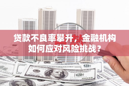 莱城贷款不良率攀升，金融机构如何应对风险挑战？